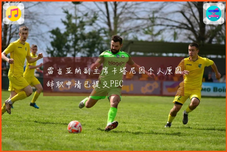 雷吉亚纳副主席卡塔尼因个人原因辞职申请已提交PEC